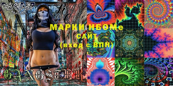 дмт Ельня
