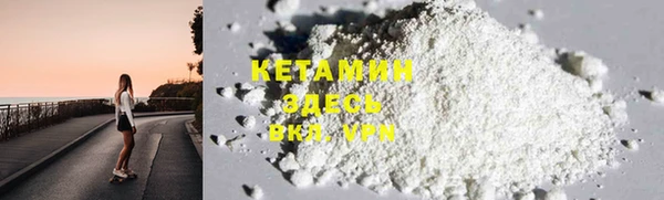 дмт Ельня
