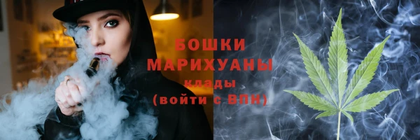 прущие грибы Заволжск