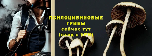 дмт Ельня