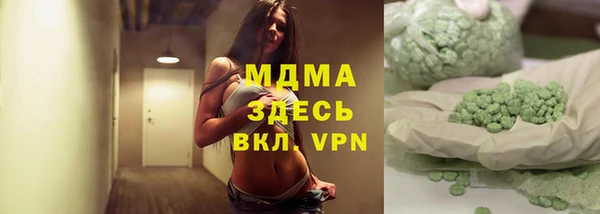 дмт Ельня