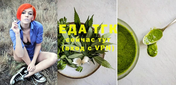 дмт Ельня