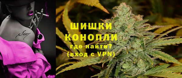 дмт Ельня