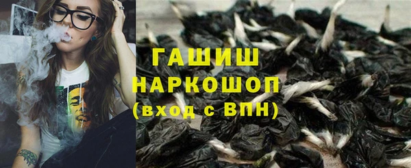 прущие грибы Заволжск