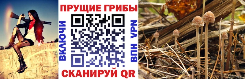 Галлюциногенные грибы мухоморы  Купить  Омск 